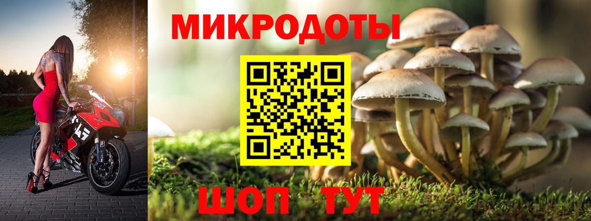 Галлюциногенные грибы Cubensis  Вход с VPN  Златоуст 